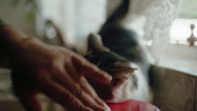 Video Reference: Hand, Eye, Eyelash, Gesture, Finger, Nail, Wrist, Thumb, Comfort, Human leg