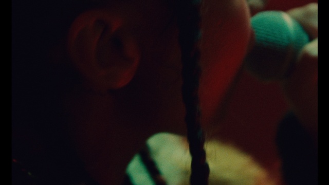 Video Reference: Plant, Wood, Tints and shades, Petal, Balloon, Electric blue, Twig, Darkness, Circle, Macro photography