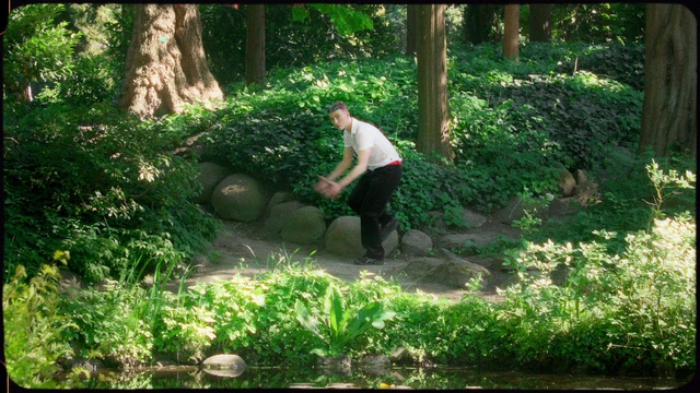 Video Reference: Plant, Plant community, Green, People in nature, Natural landscape, Branch, Terrestrial plant, Tree, Trunk, Wood