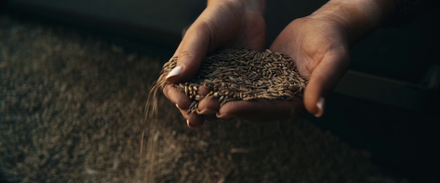 Video Reference: Hand, Gesture, Finger, Nail, Thumb, Wood, Grass, Soil, Spice, Pattern