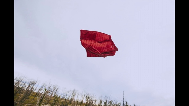 Video Reference: Sky, Parachute, Plant, Cloud, Flag, Tree, Paragliding, Parachuting, Windsports, Wind
