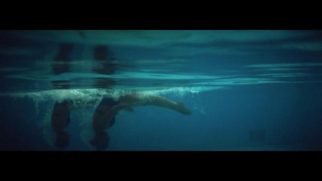 Video Reference: Water, Liquid, Underwater, Fluid, Organism, Marine biology, Recreation, Swimmer, Swimming pool, Electric blue