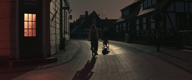 Video Reference: Bicycle, Wheel, Building, Bicycle wheel, Tire, Window, Road surface, Standing, Sunlight, Black-and-white