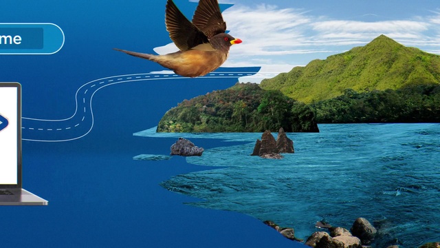 Video Reference: Water, Cloud, Bird, Sky, Azure, Coastal and oceanic landforms, Beak, Natural landscape, Wing, Art