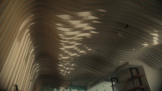 Video Reference: Composite material, Shade, Art, Symmetry, Tints and shades, Building, Pattern, Ceiling, Space, Metal