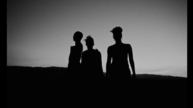 Video Reference: Sky, People in nature, Flash photography, Happy, Gesture, Atmospheric phenomenon, Black-and-white, Cloud, Horizon, Dusk