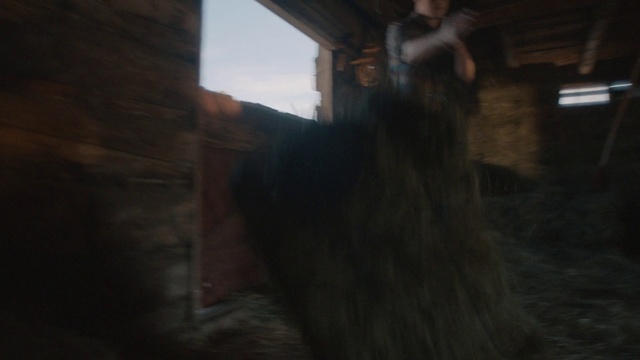 Video Reference: Wood, Fawn, Working animal, Tints and shades, Hardwood, Stable, Dog breed, Landscape, Fur, Livestock