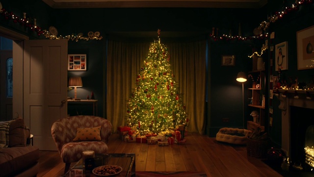 Video Reference: Christmas tree, Property, Christmas ornament, Furniture, Plant, Branch, Couch, Architecture, Wood, Holiday ornament