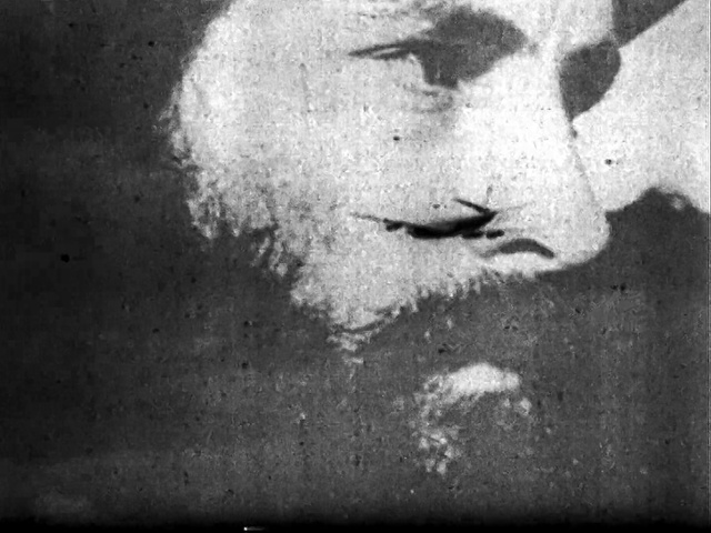 Video Reference: Nose, Eyebrow, Eye, Human body, Jaw, Flash photography, Grey, Art, Black-and-white, Tree