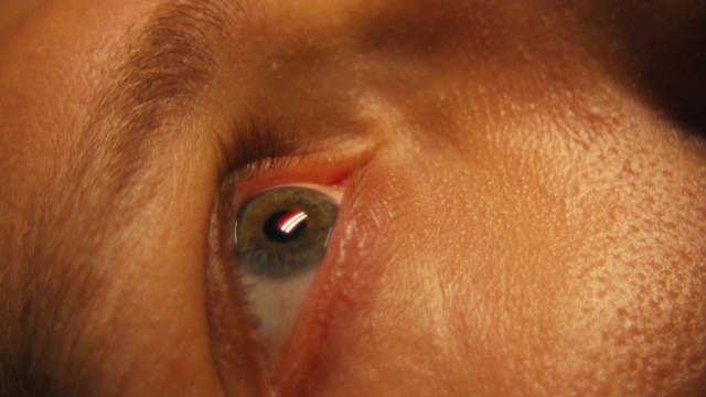 Video Reference: Eyelash, Human body, Jaw, Liver, Fawn, Wrinkle, Whiskers, Snout, Working animal, Wood