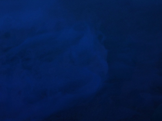 Video Reference: Blue, Cloud, Tints and shades, Electric blue, Cumulus, Pattern, Meteorological phenomenon, Sky, Horizon, Magenta