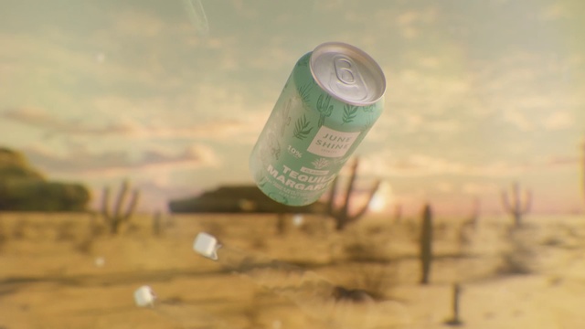 Video Reference: Cloud, Sky, Beverage can, Aluminum can, Tin can, Grass, Drink, Landscape, Cylinder, Beach