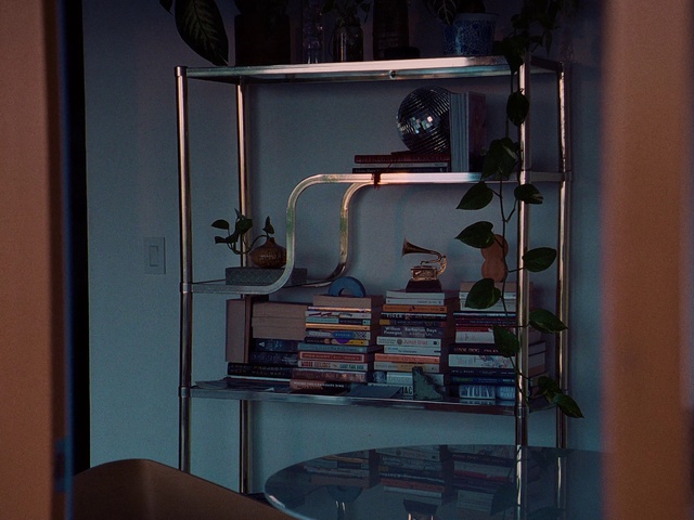 Video Reference: Shelf, Shelving, Electricity, Gas, Electrical wiring, Eyewear, Machine, Art, Display case, Wood