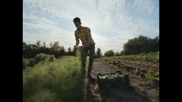 Video Reference: Cloud, Sky, Plant, People in nature, Flash photography, Natural landscape, Wood, Grass, Sunlight, Happy