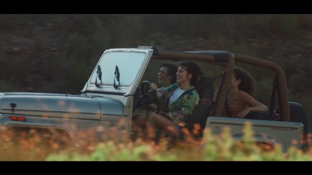 Video Reference: Motor vehicle, Vehicle, Hood, Truck, Automotive lighting, Car, Automotive mirror, Automotive exterior, Vehicle door, Grass