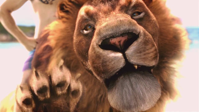 Video Reference: Felidae, Dog breed, Carnivore, Big cats, Whiskers, Fawn, Terrestrial animal, Companion dog, Liver, Snout