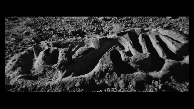 Video Reference: Organism, Black-and-white, Style, Font, Bird, Natural landscape, Bedrock, Formation, Landscape, Flash photography