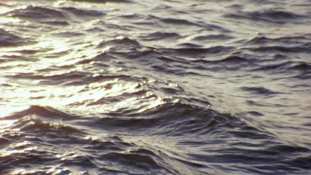 Video Reference: Water, Cloud, Daytime, Sky, Liquid, Azure, Fluid, Sunlight, Horizon, Wood