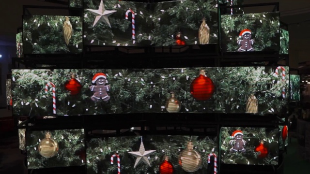 Video Reference: Christmas ornament, Light, Christmas tree, Black, Plant, Holiday ornament, Ornament, Christmas decoration, Tree, Glass