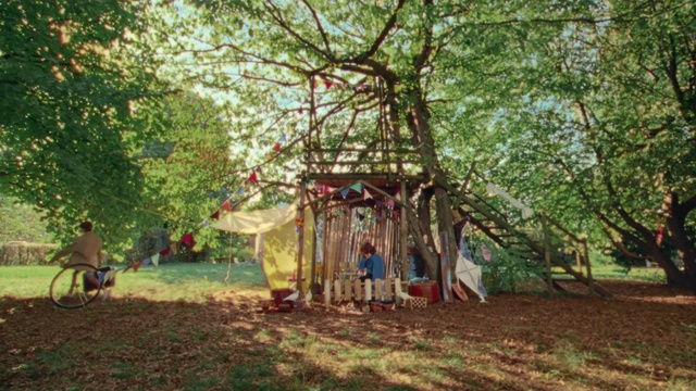 Video Reference: Plant, Tree, Branch, Shade, Leisure, Grass, Trunk, Landscape, Rural area, Tent