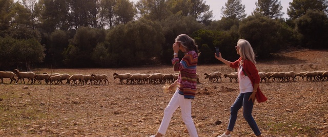 Video Reference: Plant, Leg, Tree, People in nature, Gesture, Happy, Grass, sweatpant, Landscape, Thigh