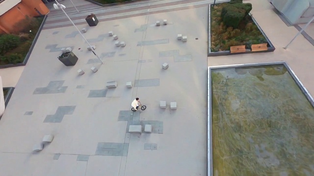 Video Reference: Plant, World, Flooring, Urban design, Floor, Wall, Indoor games and sports, Recreation, Wood, Grass