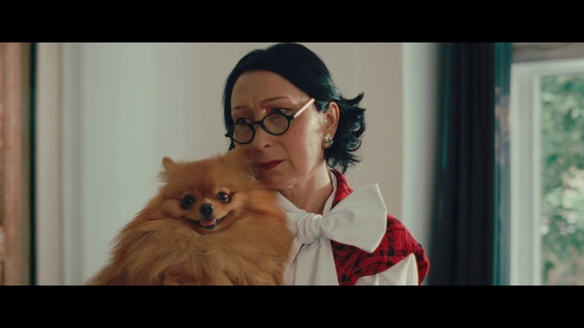 Video Reference: Glasses, Eye, Vision care, Eyelash, Felidae, Dress, Sunglasses, Eyewear, Gesture, Happy