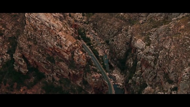 Video Reference: Brown, Wood, Branch, Bedrock, Trunk, Twig, Woody plant, Plant, Terrestrial plant, Formation