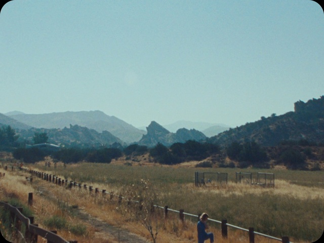 Video Reference: Sky, Plant, Plant community, Nature, Natural landscape, Mountain, Land lot, Tree, Fence, Highland