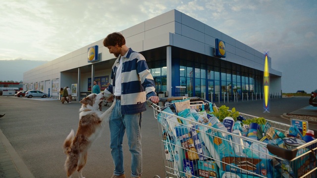 Video Reference: Sky, Cloud, Dog, Dog breed, Building, Carnivore, Leisure, Hat, Recreation, Borzoi