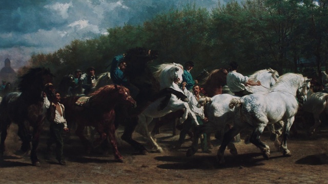 Video Reference: Sky, Working animal, Tree, Mammal, Horse tack, Bridle, Landscape, Pack animal, Rein, Event