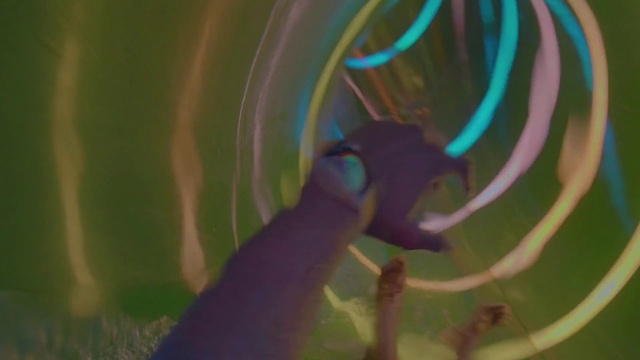 Video Reference: Purple, Plant, Art, Petal, Electric blue, Magenta, Painting, Pattern, Close-up, Circle