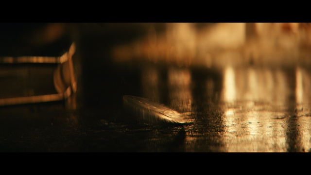 Video Reference: Water, Wood, Plant, Flash photography, Tints and shades, Natural landscape, Grass, Lake, Sky, Landscape
