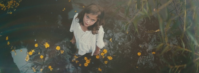 Video Reference: Hair, Flower, Head, Plant, Eye, Smile, People in nature, Leaf, Botany, Natural environment