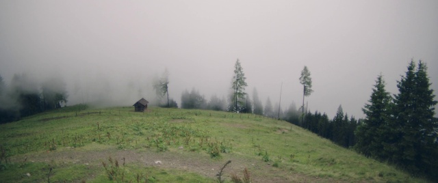 Video Reference: Plant, Sky, Fog, Natural landscape, Cloud, Tree, Highland, Land lot, Atmospheric phenomenon, Grass