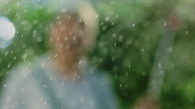 Video Reference: Plant, Window, Atmospheric phenomenon, Grass, Moisture, Liquid, Tree, Windshield, Freezing, Drop