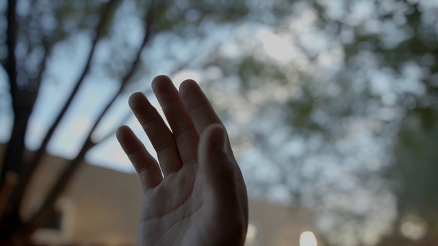 Video Reference: Hand, Sky, Plant, Cloud, People in nature, Tree, Gesture, Finger, Twig, Thumb