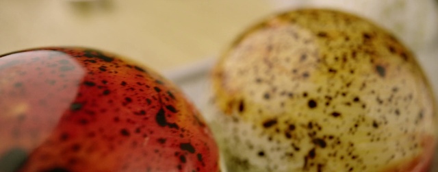 Video Reference: Food, Ingredient, Organism, Fruit, Recipe, Natural foods, Clementine, Superfood, Produce, Cuisine