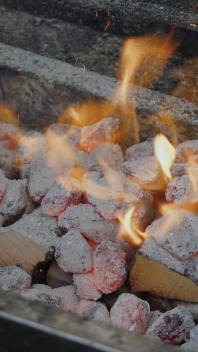 Video Reference: Cuisine, Dish, Gas, Cooking, Water, Rock, Landscape, Building material, Soil, Heat