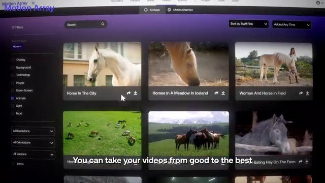 Video Reference: Ecoregion, Vertebrate, Horse, Nature, Mammal, Natural landscape, Working animal, Grassland, Grass, Adaptation