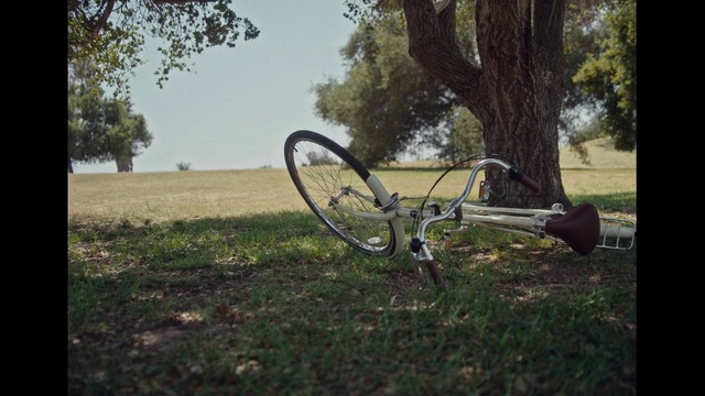 Video Reference: Bicycle, Plant, Tire, Wheel, Bicycles--Equipment and supplies, Bicycle handlebar, Bicycle tire, Bicycle wheel, Crankset, Tree