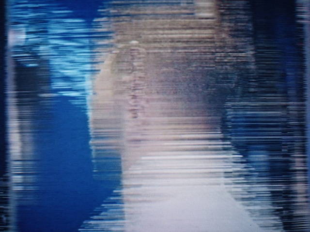 Video Reference: Water, Atmosphere, Cloud, Blue, Plant, Wood, Sky, Body of water, Tree, Aqua