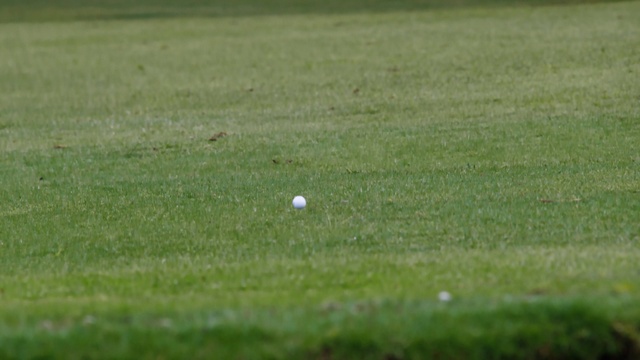 Video Reference: Golf, Plant, Golf ball, Golf equipment, Ball, Grassland, Golf course, Sports equipment, Meadow, Grass family