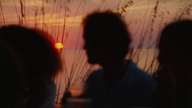 Video Reference: Sky, Cloud, Plant, Gesture, Dusk, Happy, Afterglow, Sunset, Sunrise, Heat