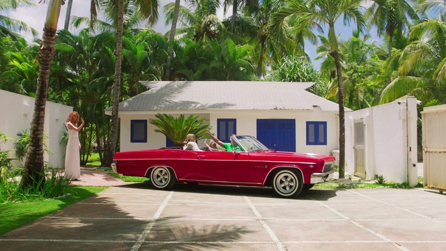 Video Reference: Tire, Wheel, Plant, Car, Land vehicle, Vehicle, Building, Motor vehicle, Hood, Window