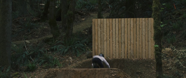 Video Reference: Plant, Wood, Carnivore, Dog breed, Tree, Grass, Trunk, Panda, Fence, Home fencing