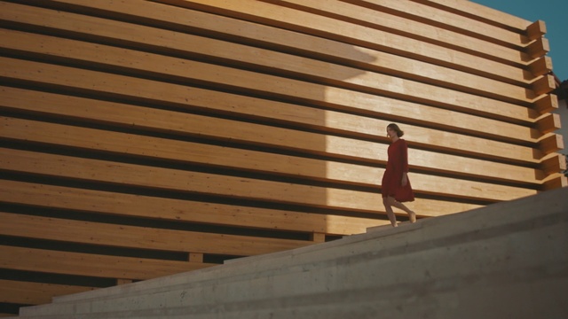 Video Reference: Wood, Shade, Rectangle, Composite material, Building, Tints and shades, Roof, Facade, Hardwood, Symmetry