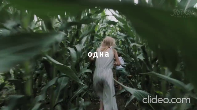 Video Reference: Plant, People in nature, Terrestrial plant, Happy, Agriculture, Grass, Flowering plant, Forest, Field, Plantation