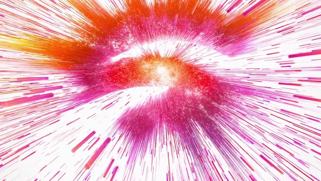 Video Reference: Colorfulness, Organism, Pink, Petal, Magenta, Terrestrial plant, Close-up, Symmetry, Flowering plant, Circle