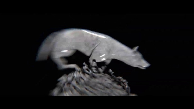 Video Reference: Bat, Tail, Monochrome photography, vampire bat, Terrestrial animal, Darkness, Whiskers, Macro photography, Claw, Pest